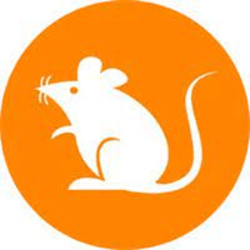1000rats手机赚钱软件