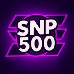 snp500手机赚钱软件