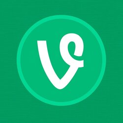 vine手机赚钱软件
