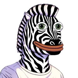 zebro手机赚钱软件