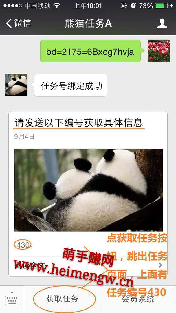 熊猫咪咪【微信投票赚钱】手机赚钱软件截图4