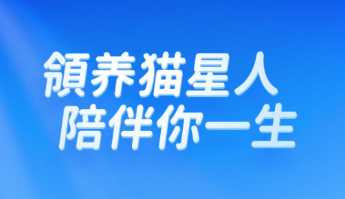 我的人生app是真的吗，我的人生怎么玩能赚钱？