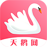 天鹅网手机赚钱软件