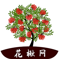 花楸网手机赚钱软件