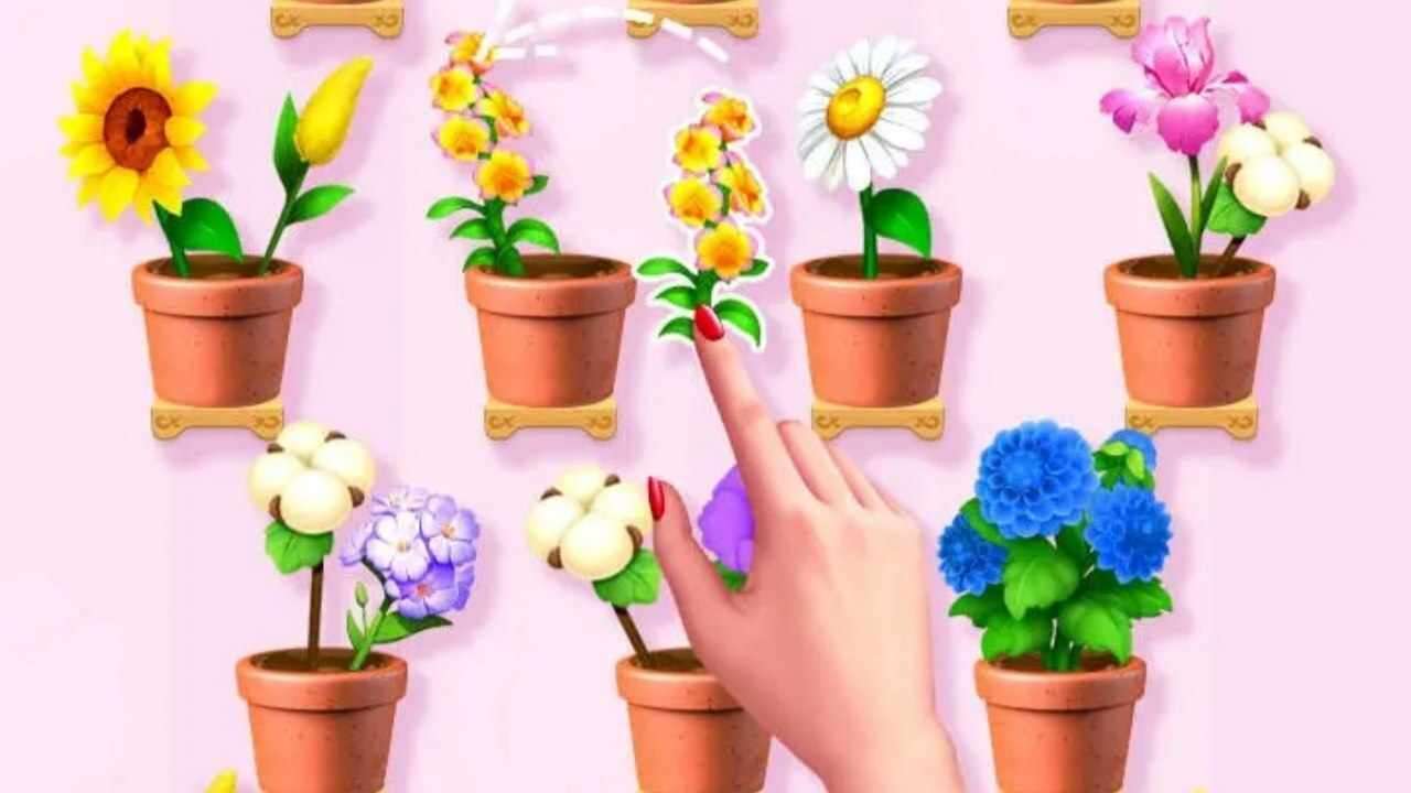插花我最强手机赚钱软件截图3