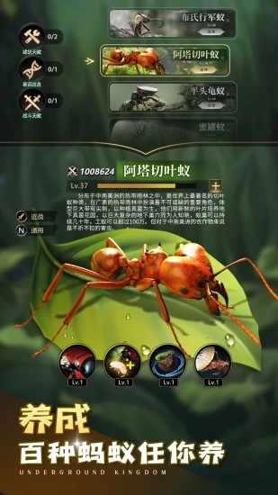 小小蚁国手机赚钱软件截图1