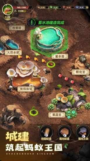 小小蚁国手机赚钱软件截图3