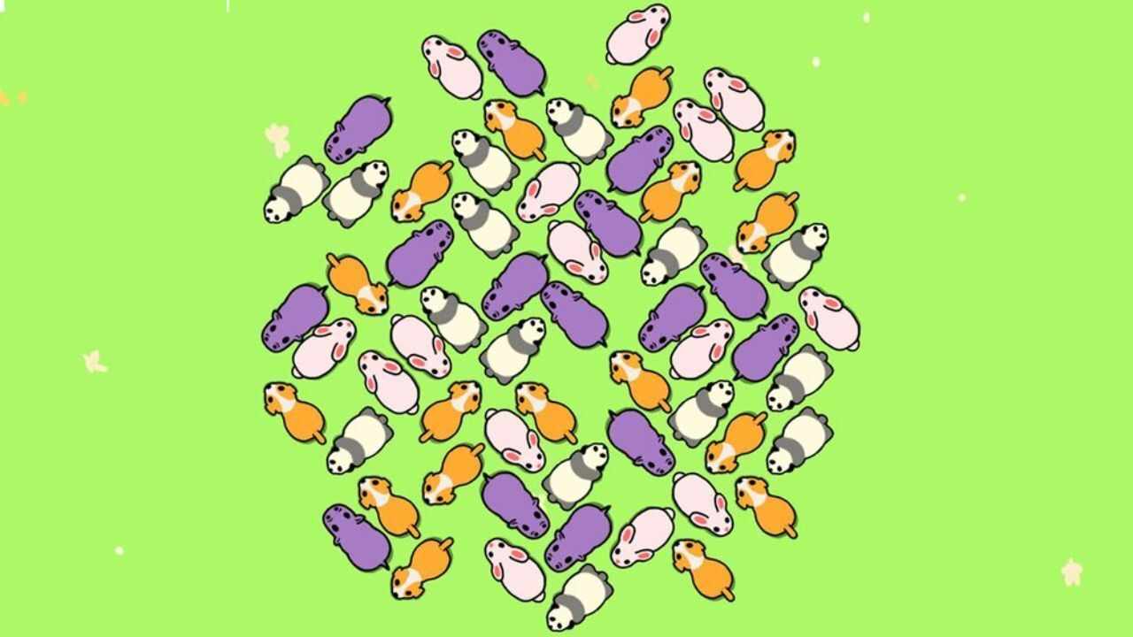 拯救动物大作战手机赚钱软件截图2