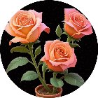 花朵叠叠消手机赚钱软件
