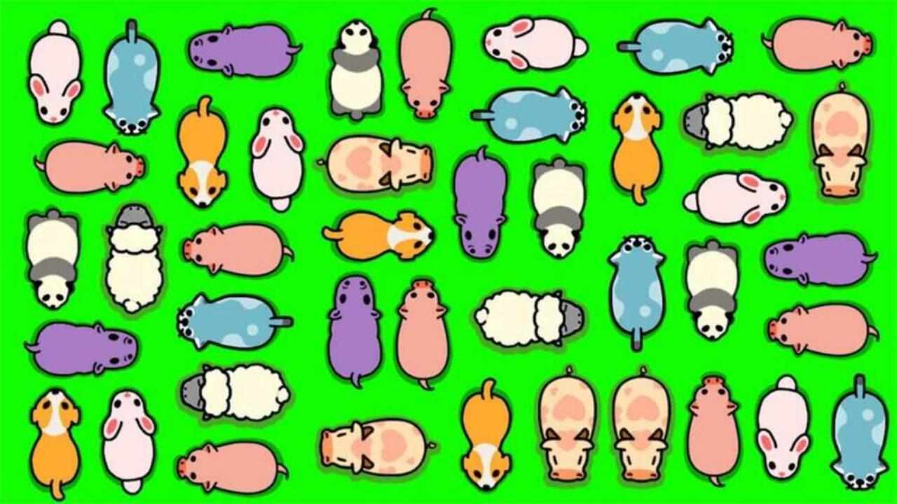挪猪消消乐手机赚钱软件截图3
