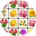 鲜花消消乐经典版手机赚钱软件