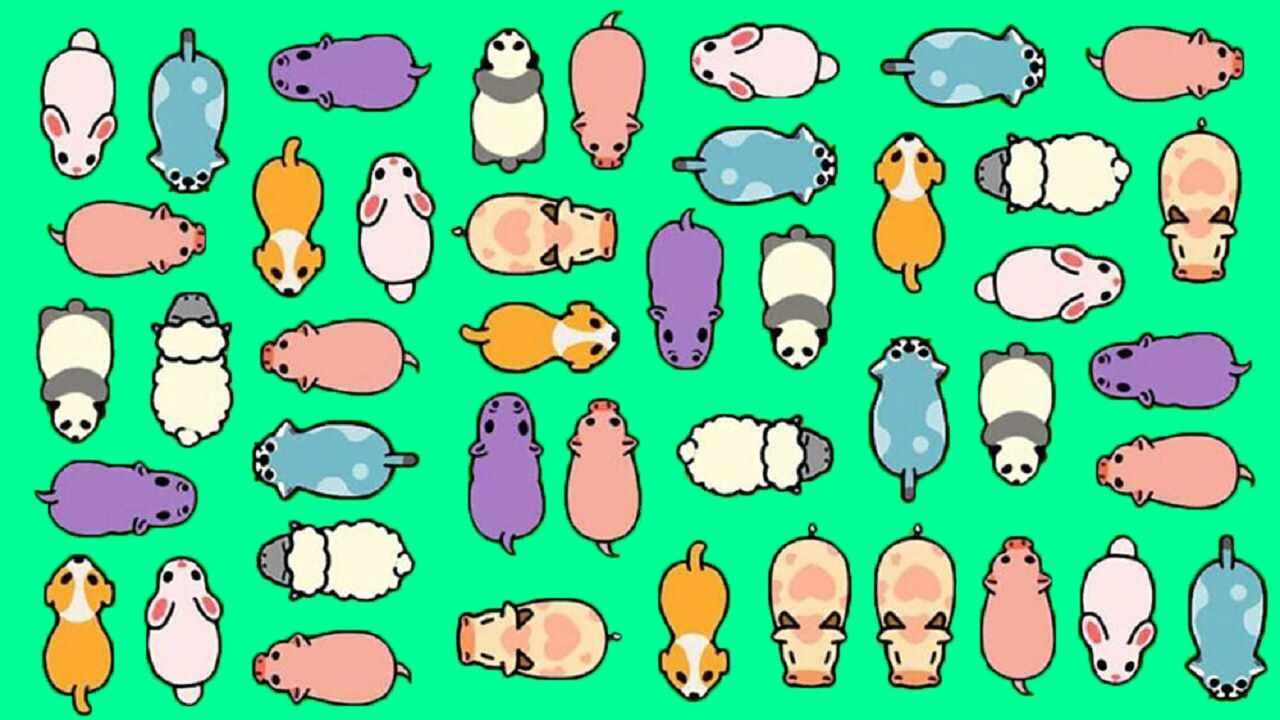 挪大猪手机赚钱软件截图1