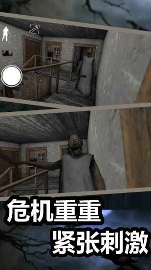 恐怖奶奶手机赚钱软件截图4