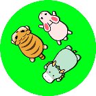 拯救小动物入口手机赚钱软件