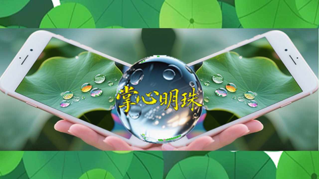 掌心明珠手机赚钱软件截图1