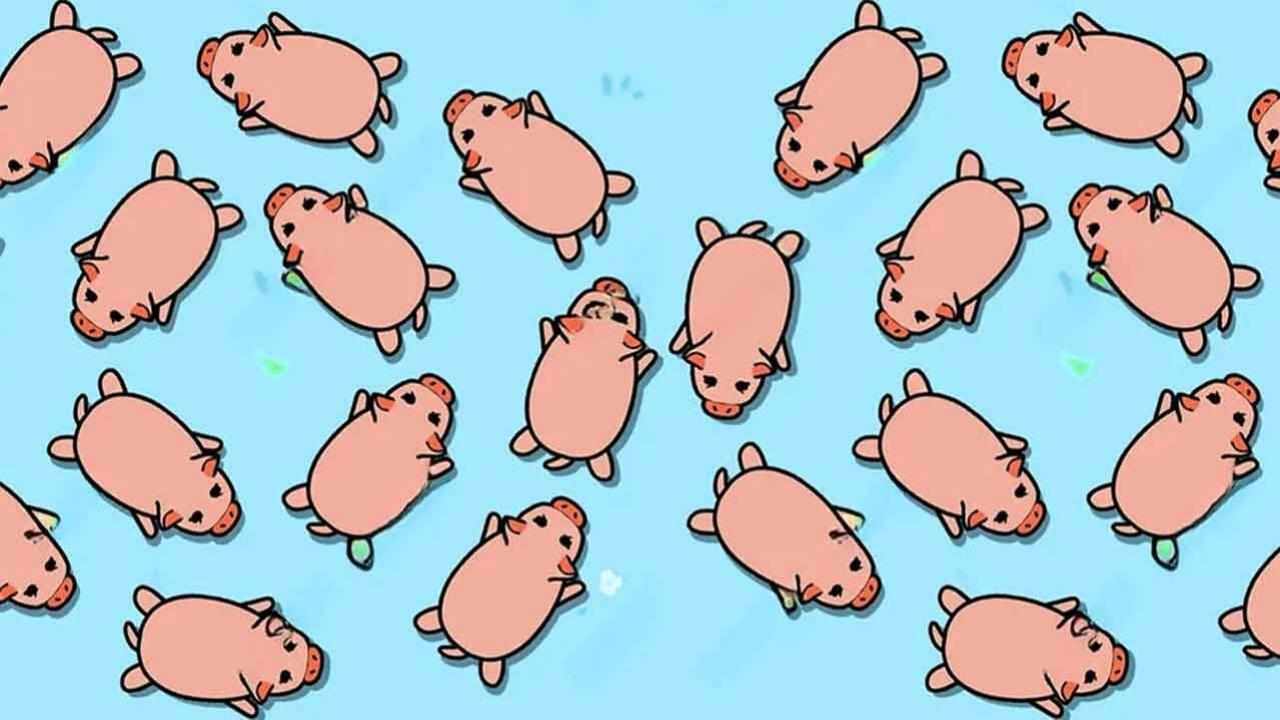 营救猪猪消除手机赚钱软件截图2