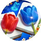 爱消花朵手机赚钱软件