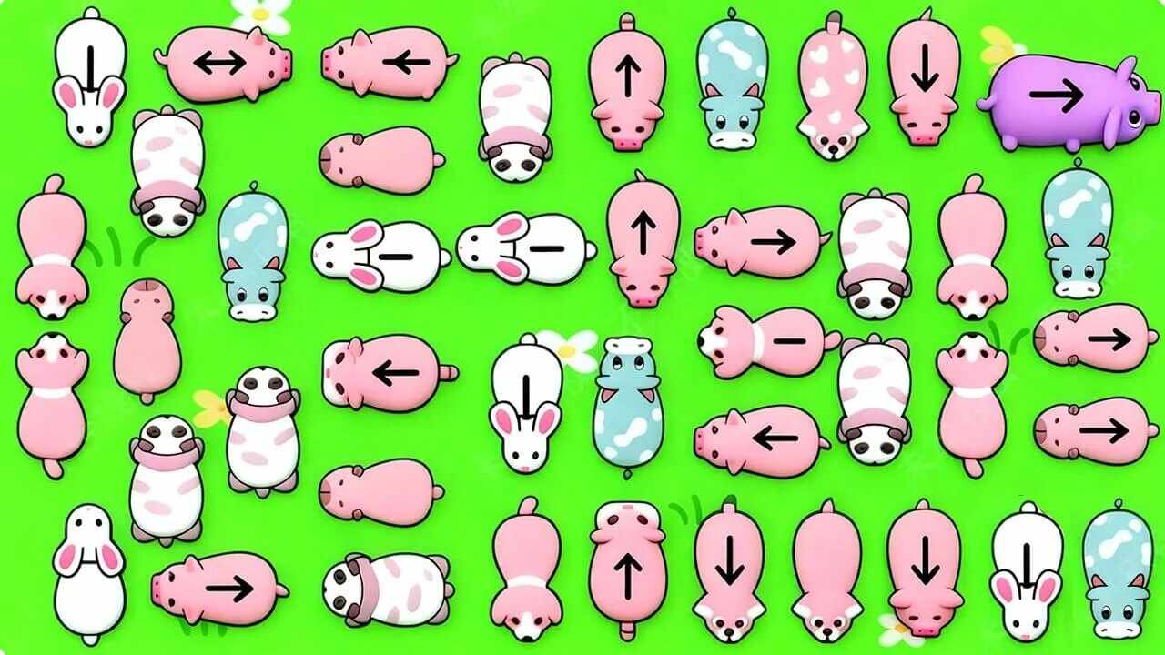 小猪回来了手机赚钱软件截图2
