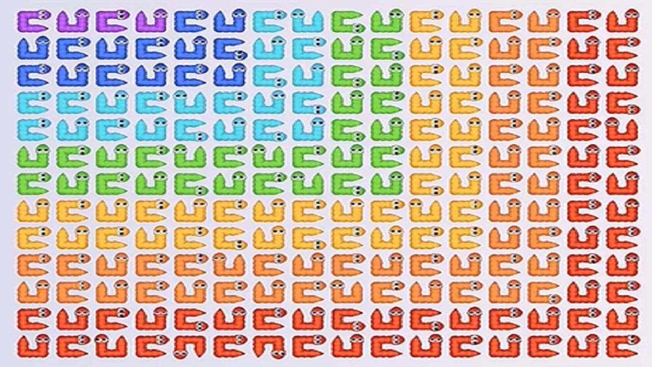 箭了又箭手机赚钱软件截图3