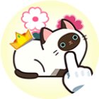 救救这猫咪手机赚钱软件