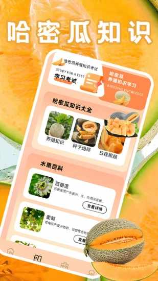 发财哈密瓜手机赚钱软件截图2