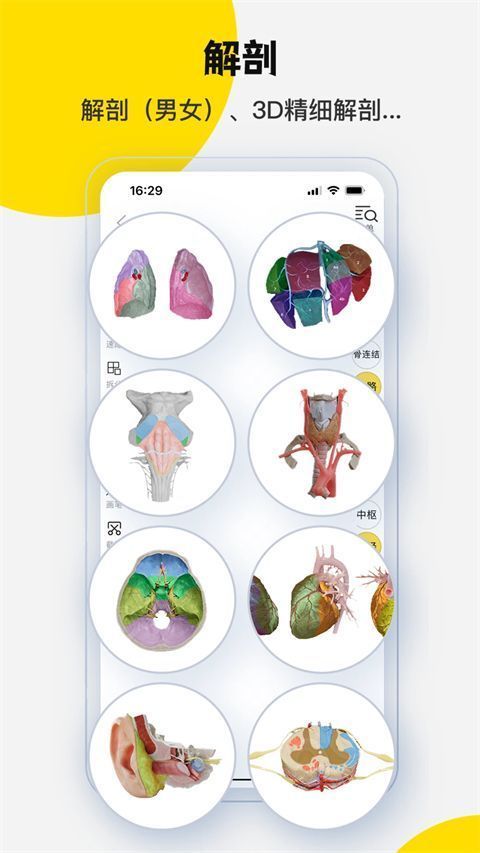 3dbody解剖app手机赚钱软件截图3