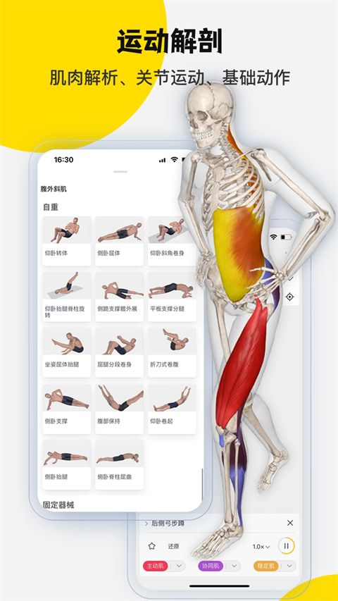 3dbody解剖app手机赚钱软件截图1