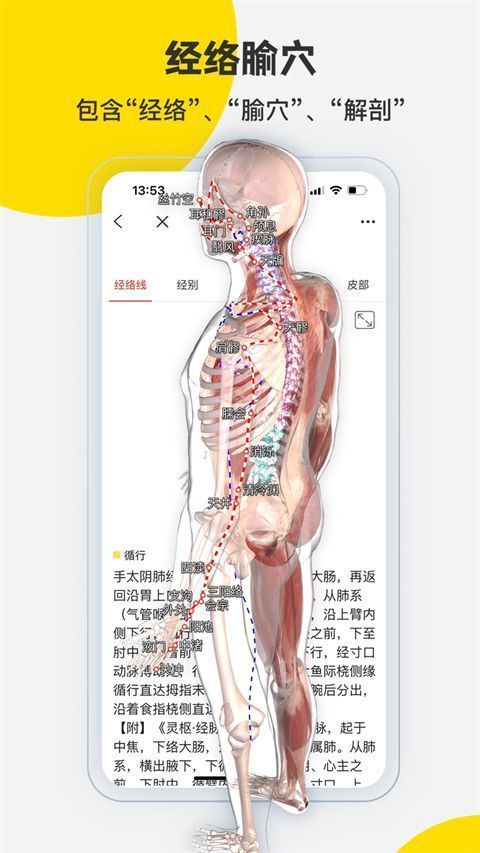 3dbody解剖app手机赚钱软件截图4