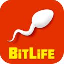 BitLife官方最新版手机赚钱软件