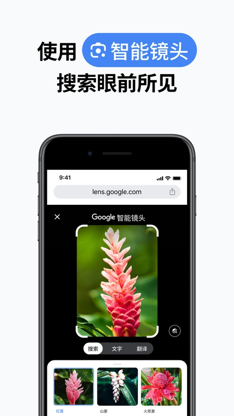 谷歌浏览器ios版手机赚钱软件截图2