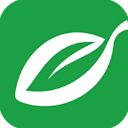 汕头橄榄台app手机赚钱软件