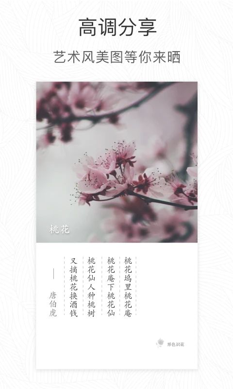 形色app手机赚钱软件截图3
