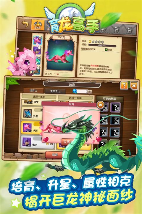 育龙高手官方正版手机赚钱软件截图1
