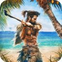 幸存者冒险生存岛中文版(Survivor Adventure)手机赚钱软件