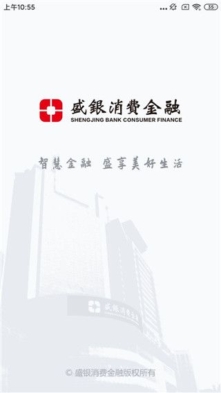 盛银消费金融app手机赚钱软件截图4