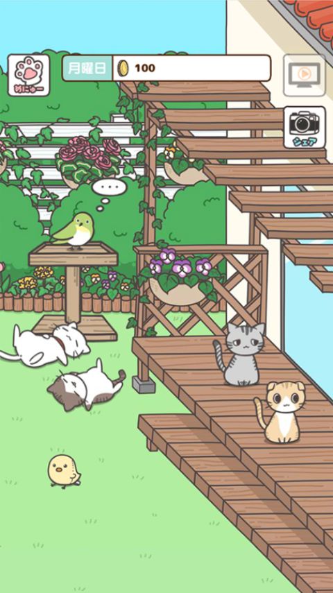 猫咪饲养日常官方版手机赚钱软件截图4