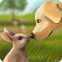 宠物世界3d我的动物救援中文版(PetWorld)手机赚钱软件