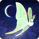 彩翼之星夜官方版手机赚钱软件