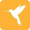 小黄鸟App(Reqable)手机赚钱软件