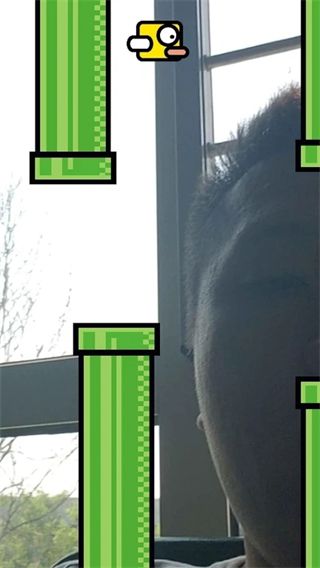 脸飞小鸟游戏(Flying Face)手机赚钱软件截图1