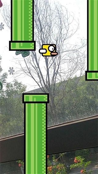 脸飞小鸟游戏(Flying Face)手机赚钱软件截图3