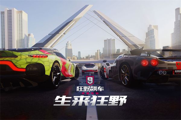 狂野飙车9九游版手机赚钱软件截图1