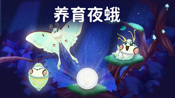 彩翼之星夜官方版手机赚钱软件截图3