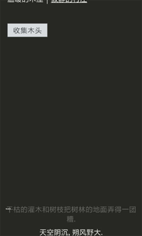 A Dark Room汉化版手机赚钱软件截图3