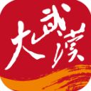大武汉客户端手机赚钱软件