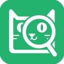 企查猫企业查询app手机赚钱软件