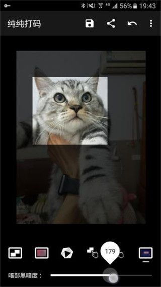 纯纯打码App手机赚钱软件截图3