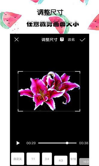 接招小视频剪辑app手机赚钱软件截图4