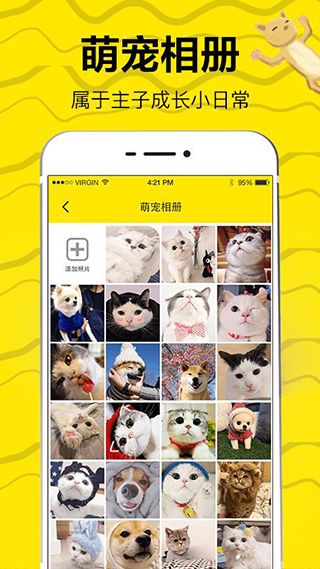 猫狗翻译app手机赚钱软件截图5