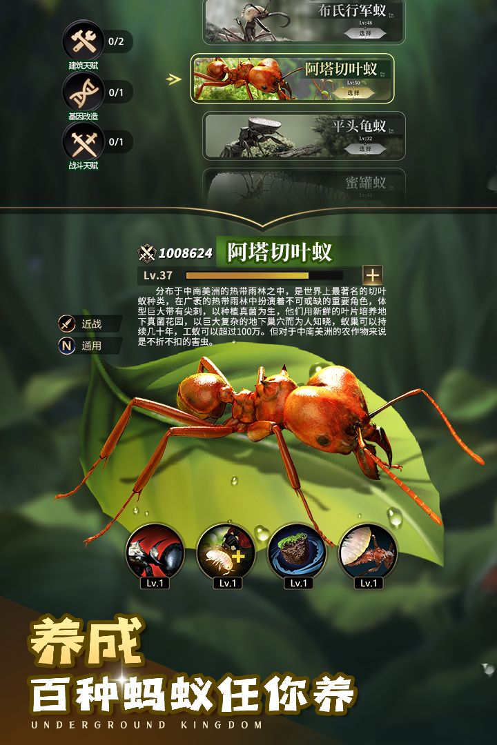 小小蚁国九游版手机赚钱软件截图1